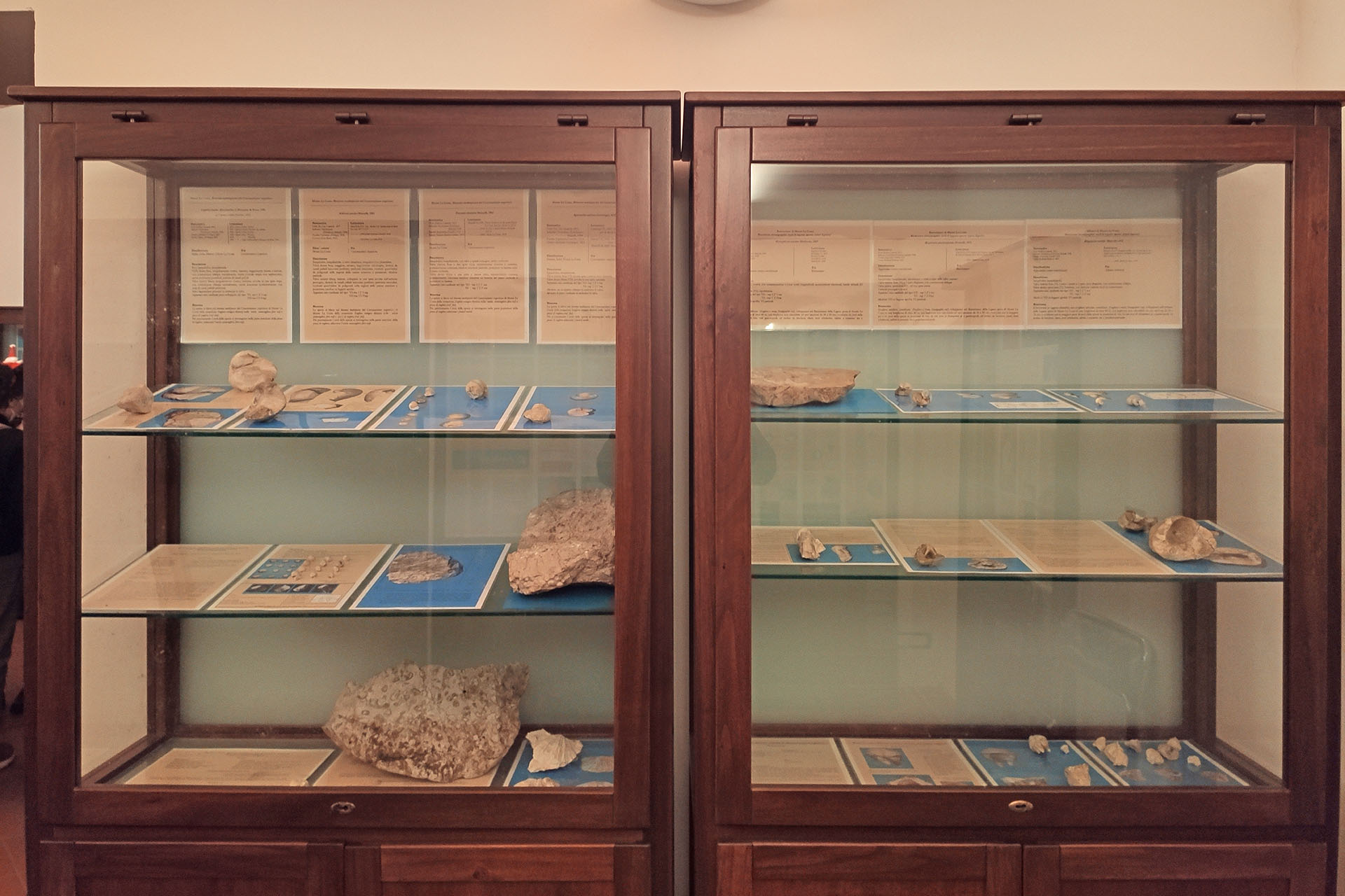 presepe vivente san polo matese (4) museo di paleontologia