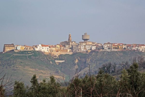 San Martino in Pensilis, nella terra della carrese e della pampanella