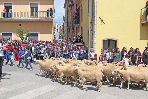 Benedizione degli animali: l’ultimo sabato di aprile a Santa Croce di Magliano
